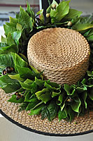 �C���e���A�ɂ������n�b�g�E���C