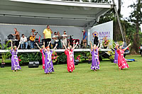 �t���E�\���O���̂��̂̓J�E�A�C�̎s������