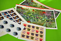 ���X�ɑ����Ă����؎�