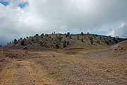 ��ʂ̗n��̐^�񒆂ɁA�ۂ�Ǝc�����N���J�q����