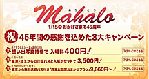 �n��45���N���L�O�������Ԍ�����