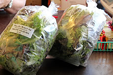 ꂪ䂪Ƃ̂Cɓuorganic salad mixv$5.50