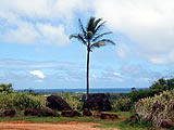 Lani Creates, All right reserved.