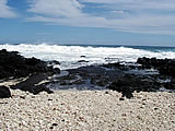 Lani Creates, All right reserved.
