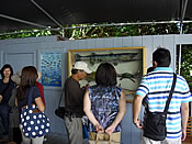 フィッシュポンドにいる魚についての説明
