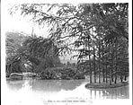 1900�N�̃J�s�I���j�����̎ʐ^